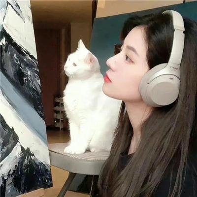 镖旗飞扬